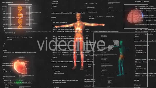Medical Male / Man Anatomy Medical HUD Animation Videohive 21366731 Motion Graphics Image 1