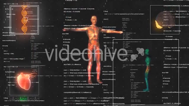 Medical Male / Man Anatomy Medical HUD Animation Videohive 21366731 Motion Graphics Image 10