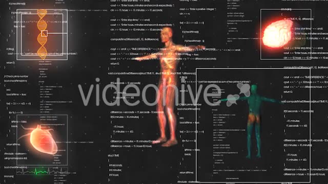 Medical Male / Man Anatomy Medical HUD Animation Videohive 21366731 Motion Graphics Image 2