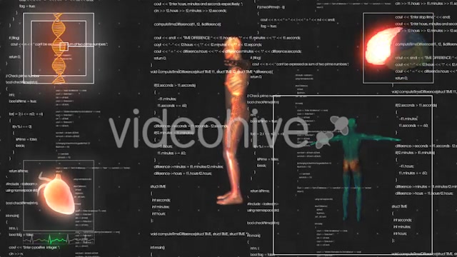 Medical Male / Man Anatomy Medical HUD Animation Videohive 21366731 Motion Graphics Image 3