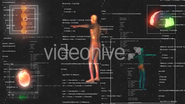 Medical Male / Man Anatomy Medical HUD Animation Videohive 21366731 Motion Graphics Image 4
