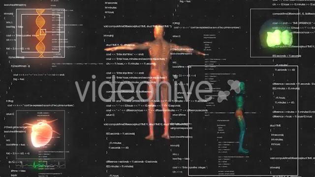 Medical Male / Man Anatomy Medical HUD Animation Videohive 21366731 Motion Graphics Image 5
