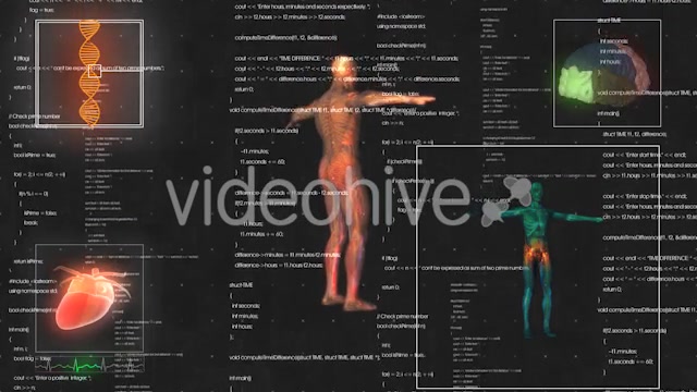 Medical Male / Man Anatomy Medical HUD Animation Videohive 21366731 Motion Graphics Image 7
