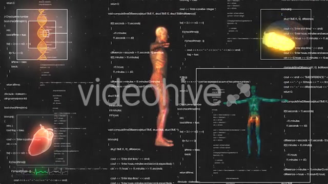 Medical Male / Man Anatomy Medical HUD Animation Videohive 21366731 Motion Graphics Image 8