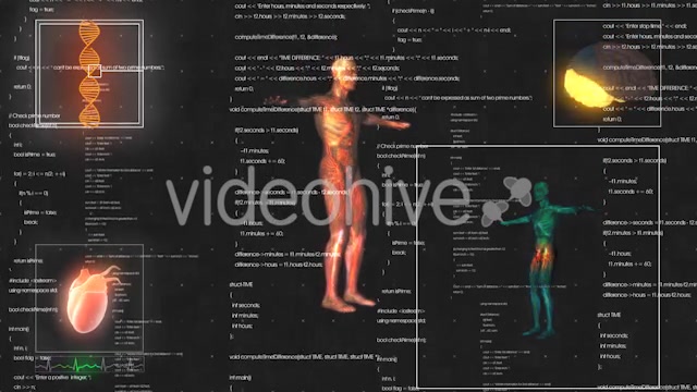 Medical Male / Man Anatomy Medical HUD Animation Videohive 21366731 Motion Graphics Image 9