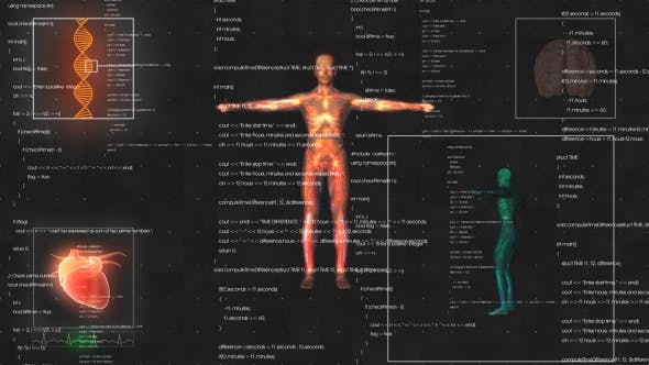 Medical Male / Man Anatomy Medical HUD Animation - 21366731 Download Videohive