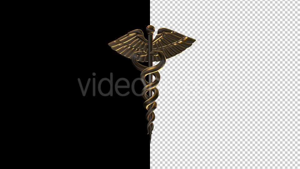 Medical Symbol Videohive 17770146 Motion Graphics Image 1