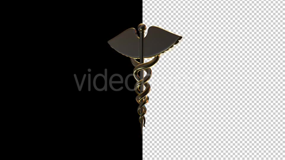 Medical Symbol Videohive 17770146 Motion Graphics Image 5