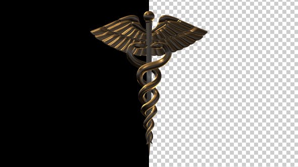 Medical Symbol - Videohive 17770146 Download