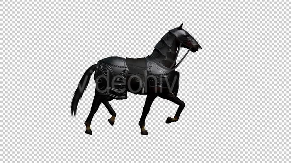 Medieval Horse Canter Walk Videohive 19775292 Motion Graphics Image 1