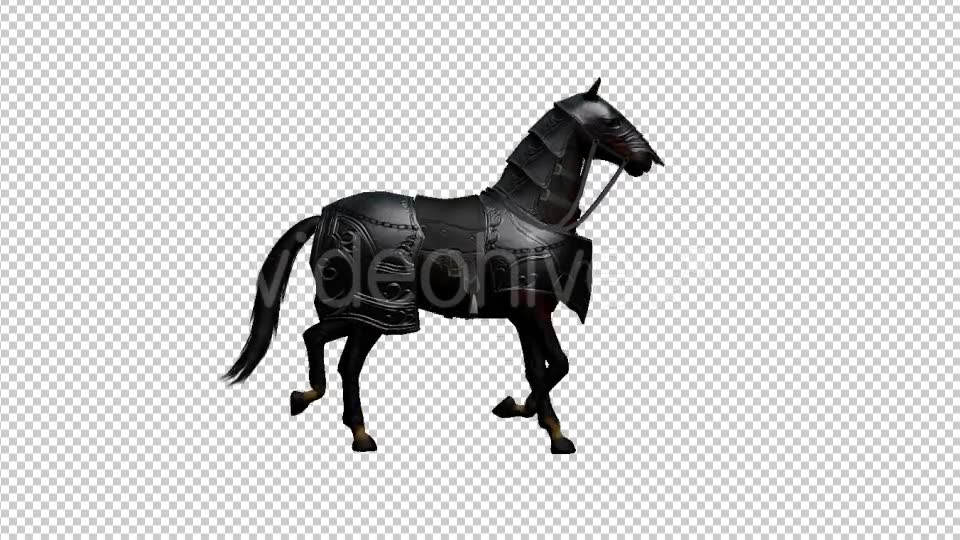 Medieval Horse Canter Walk Videohive 19775292 Motion Graphics Image 2