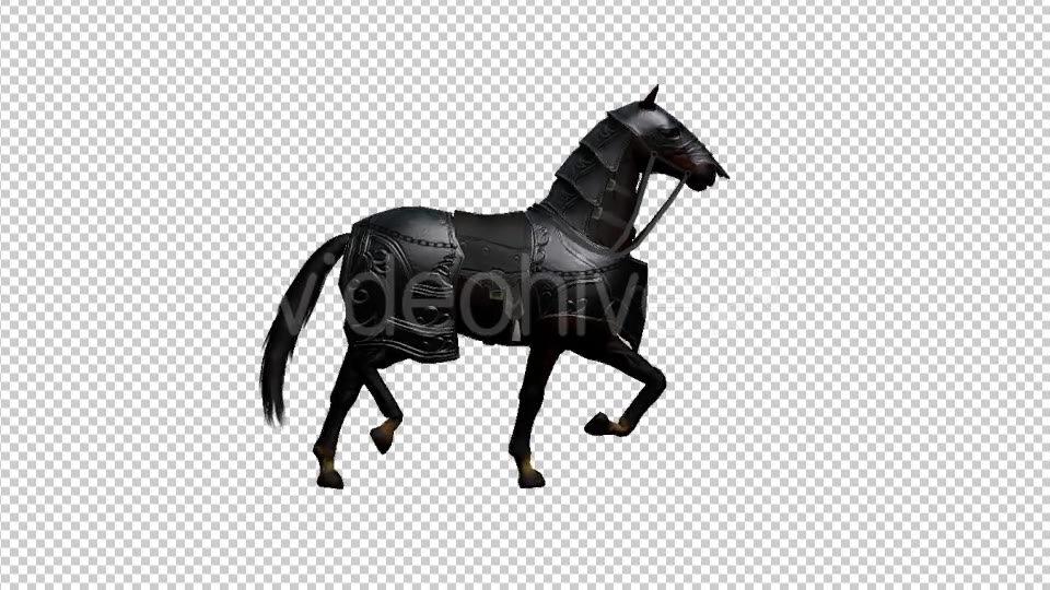 Medieval Horse Canter Walk Videohive 19775292 Motion Graphics Image 5
