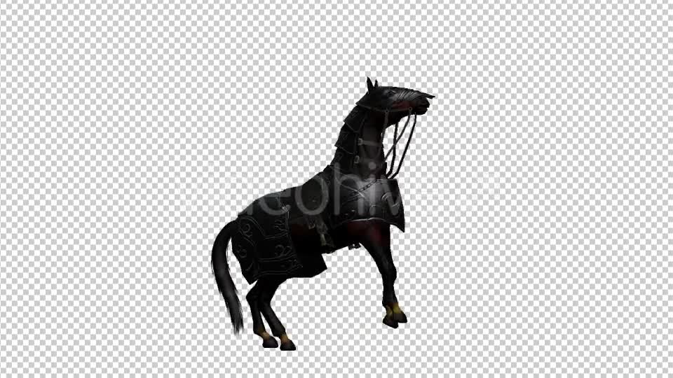Medieval War Horse Pesade Videohive 19775392 Motion Graphics Image 1
