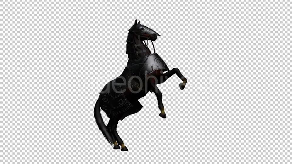Medieval War Horse Pesade Videohive 19775392 Motion Graphics Image 2