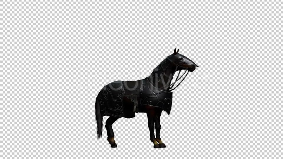 Medieval War Horse Pesade Videohive 19775392 Motion Graphics Image 4