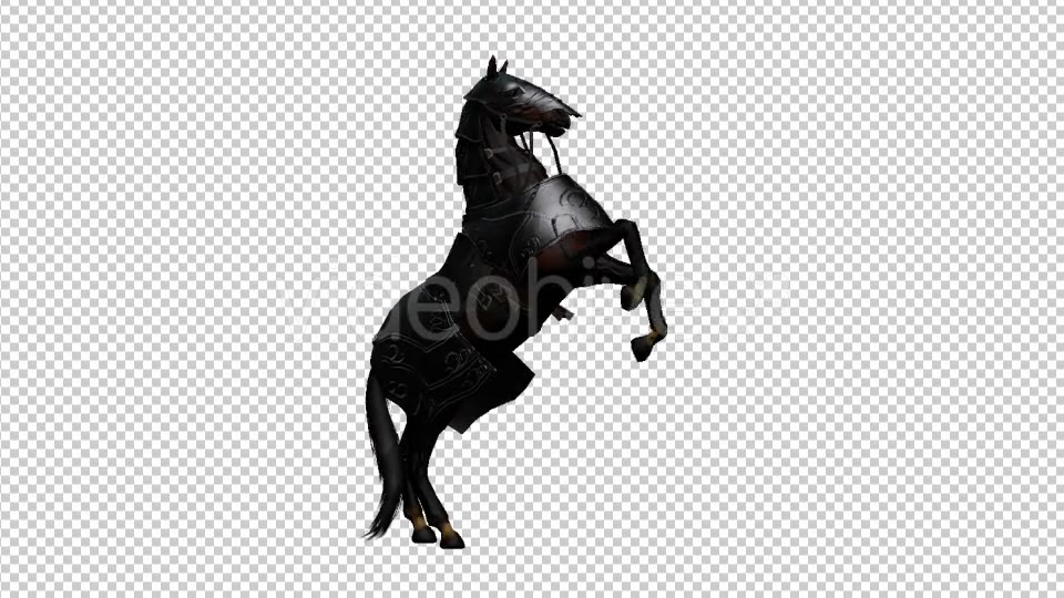 Medieval War Horse Pesade Videohive 19775392 Motion Graphics Image 5