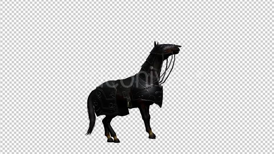 Medieval War Horse Pesade Videohive 19775392 Motion Graphics Image 6