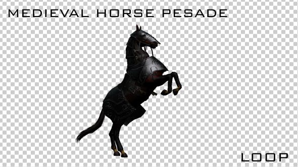 Medieval War Horse Pesade - Download Videohive 19775392