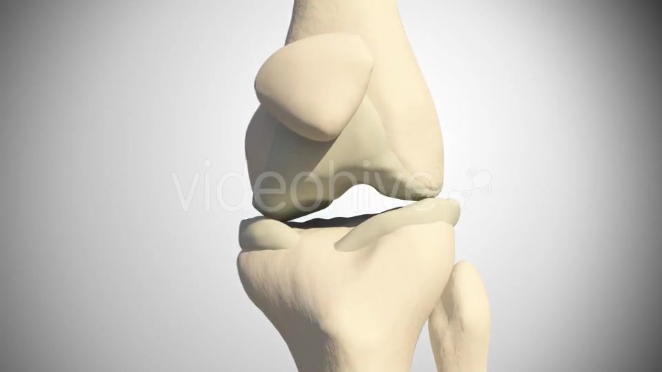 Meniscus Injury Videohive 15024990 Motion Graphics Image 2