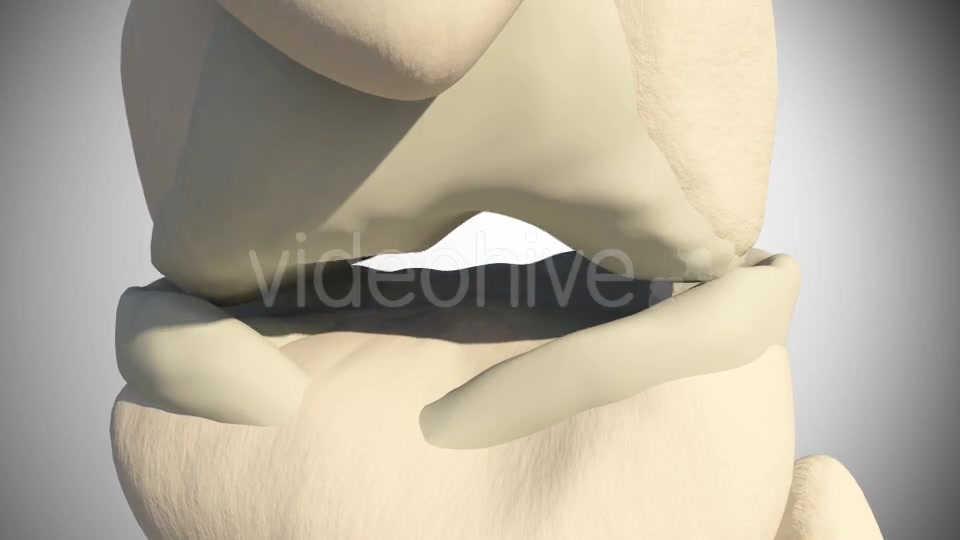 Meniscus Injury Videohive 15024990 Motion Graphics Image 5