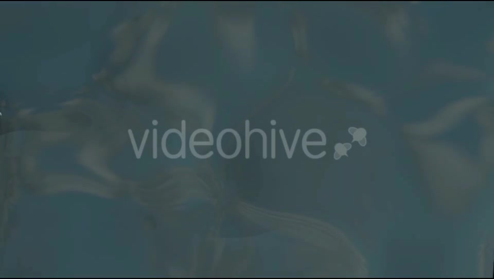 Merging Blobs 4K Videohive 16772901 Motion Graphics Image 6