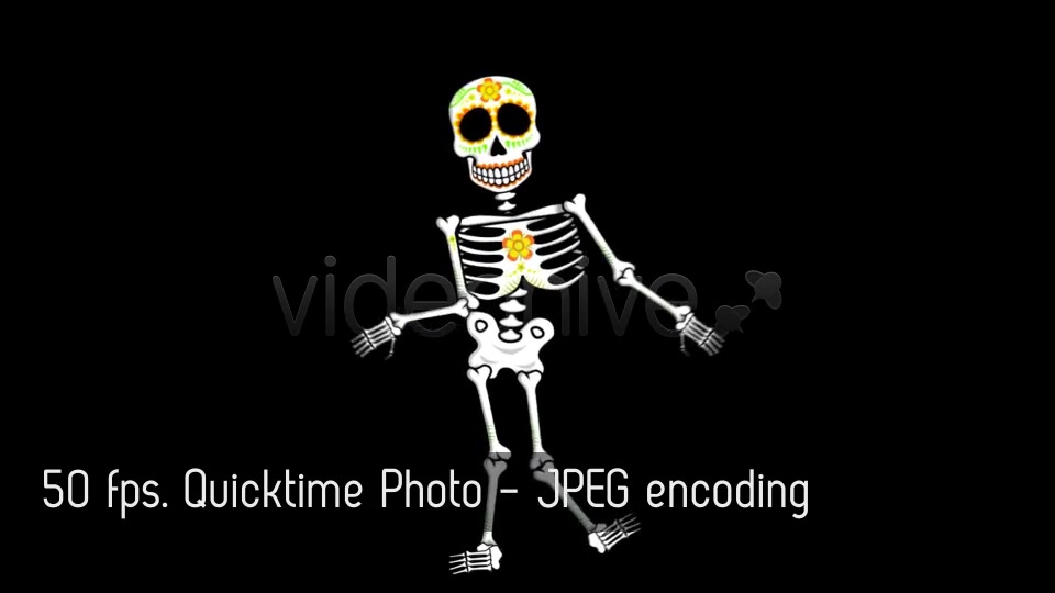 Mexican Dancing Skeletons 3 Clips Videohive 9145753 Motion Graphics Image 5