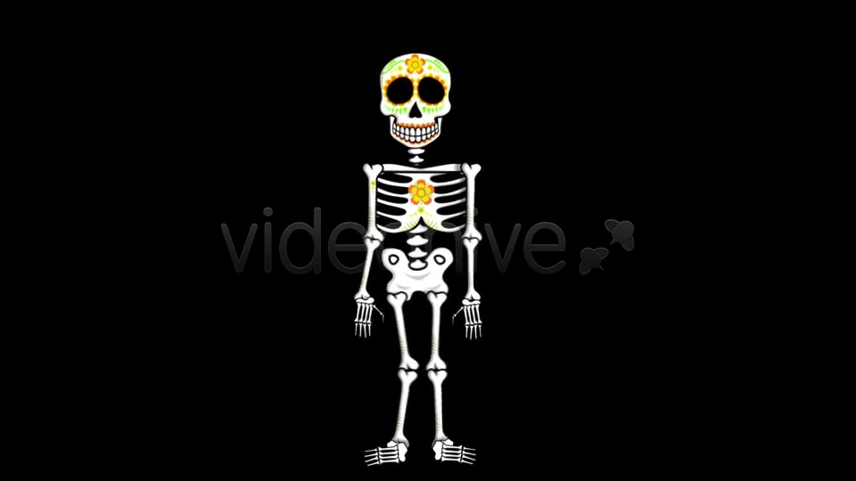Mexican Dancing Skeletons 3 Clips Videohive 9145753 Motion Graphics Image 6