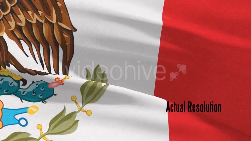 Mexico Flag Videohive 20360019 Motion Graphics Image 10