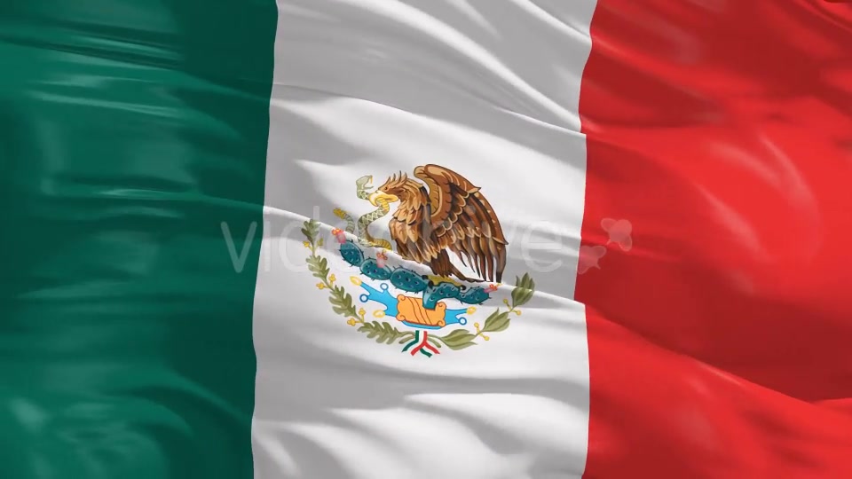 Mexico Flag Videohive 20360019 Motion Graphics Image 8