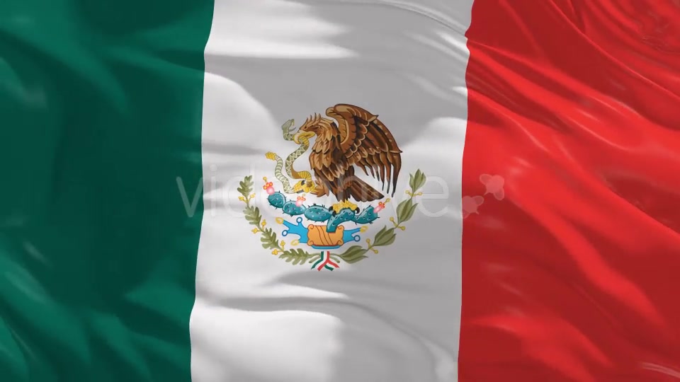 Mexico Flag Videohive 20360019 Motion Graphics Image 9