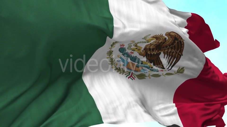 Mexico Flag in the Wind Videohive 20592558 Motion Graphics Image 2