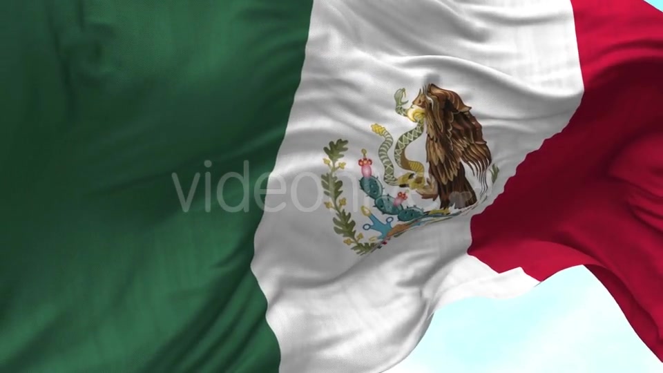 Mexico Flag in the Wind Videohive 20592558 Motion Graphics Image 5