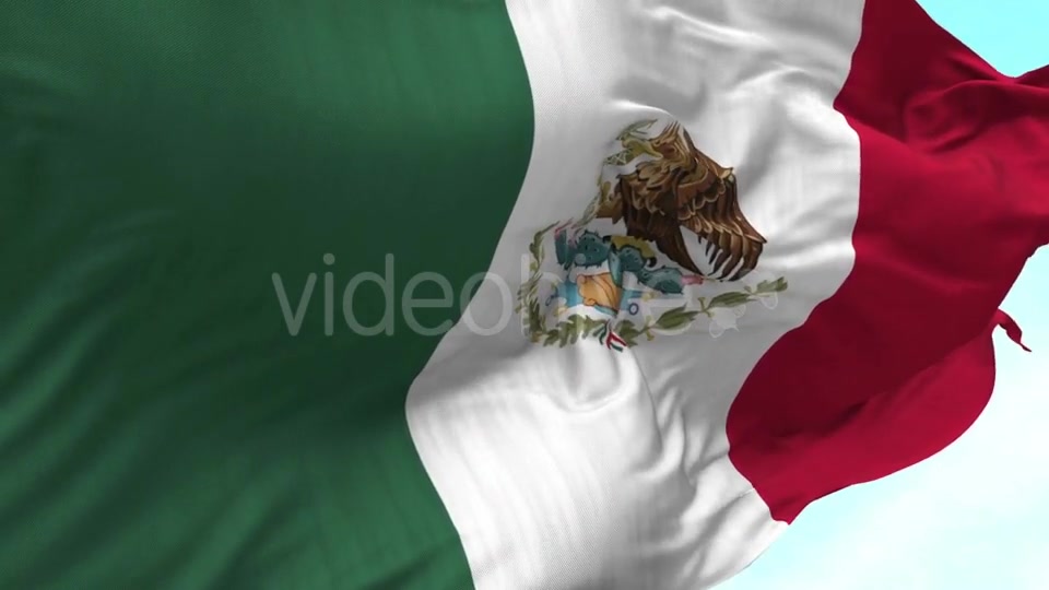 Mexico Flag in the Wind Videohive 20592558 Motion Graphics Image 7