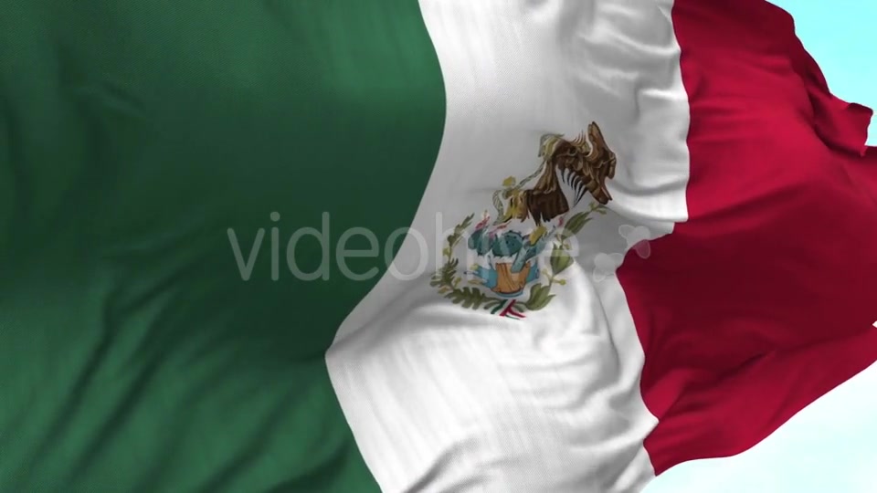 Mexico Flag in the Wind Videohive 20592558 Motion Graphics Image 8