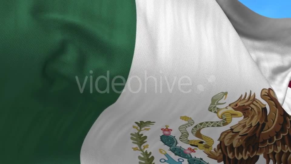 Mexico Flag in the Wind Videohive 20592570 Motion Graphics Image 1