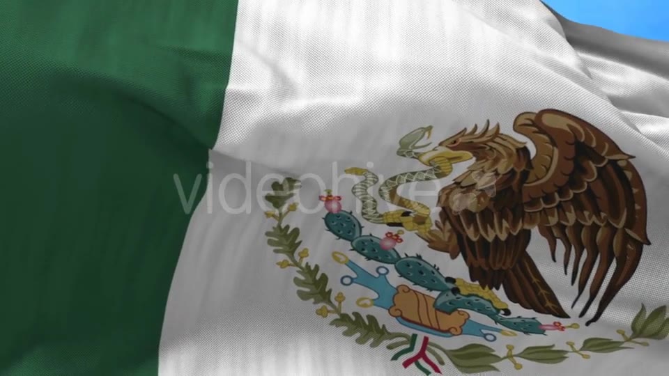 Mexico Flag in the Wind Videohive 20592570 Motion Graphics Image 2