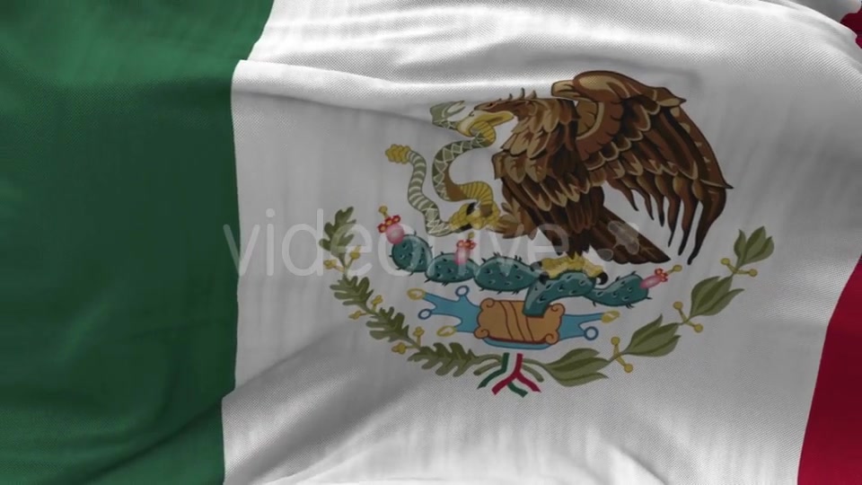 Mexico Flag in the Wind Videohive 20592570 Motion Graphics Image 3