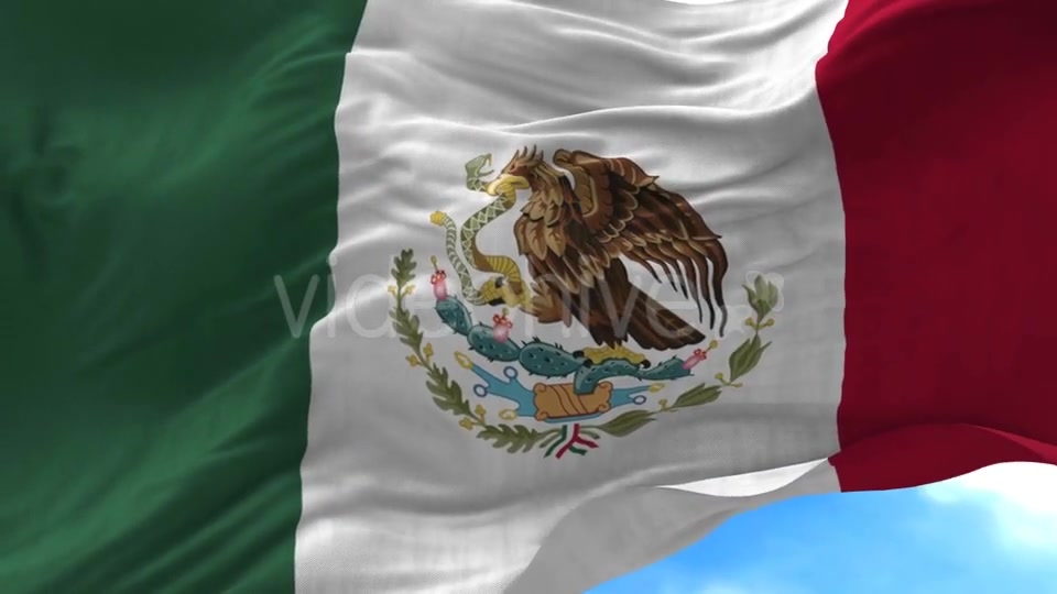 Mexico Flag in the Wind Videohive 20592570 Motion Graphics Image 5