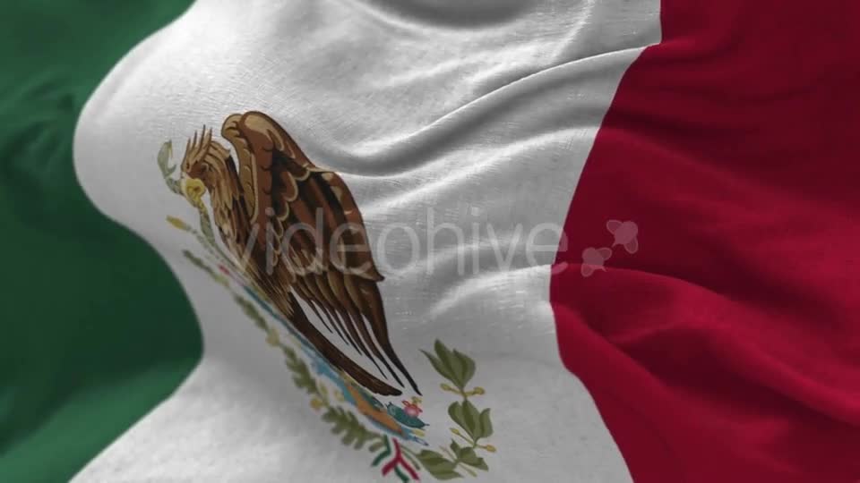 Mexico Flag in the Wind Videohive 20592537 Motion Graphics Image 1