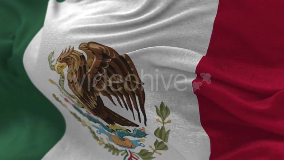 Mexico Flag in the Wind Videohive 20592537 Motion Graphics Image 10