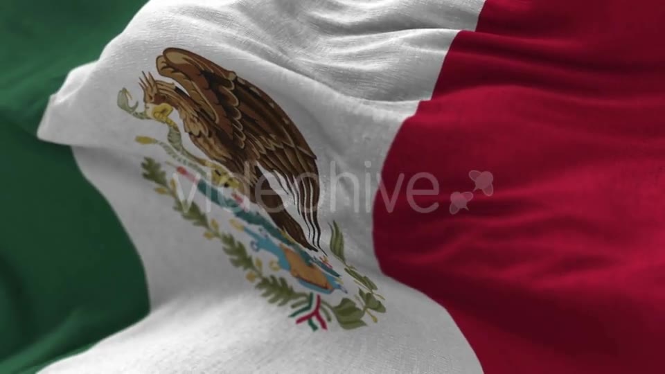Mexico Flag in the Wind Videohive 20592537 Motion Graphics Image 2