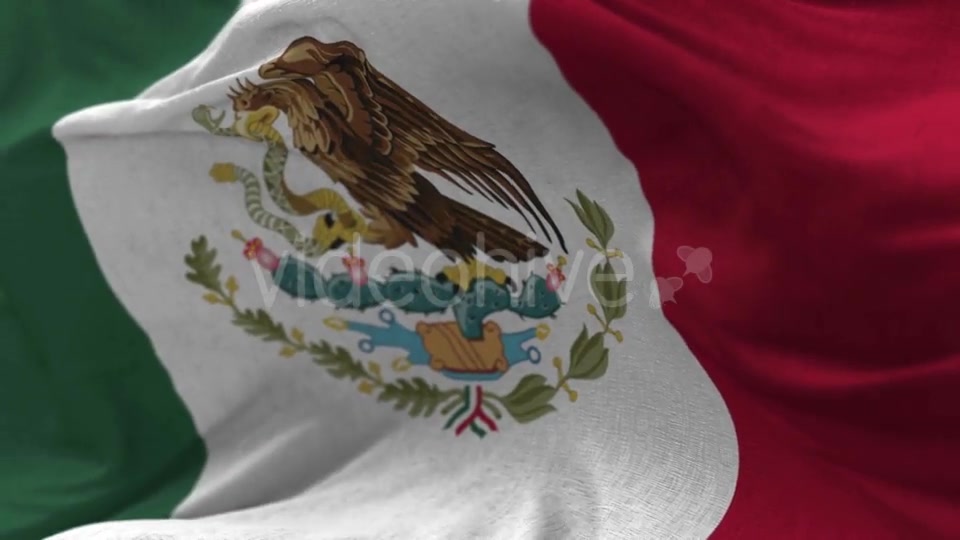 Mexico Flag in the Wind Videohive 20592537 Motion Graphics Image 3