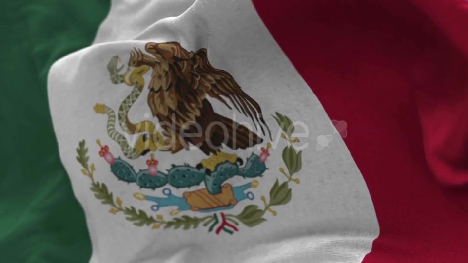 Mexico Flag in the Wind Videohive 20592537 Motion Graphics Image 4