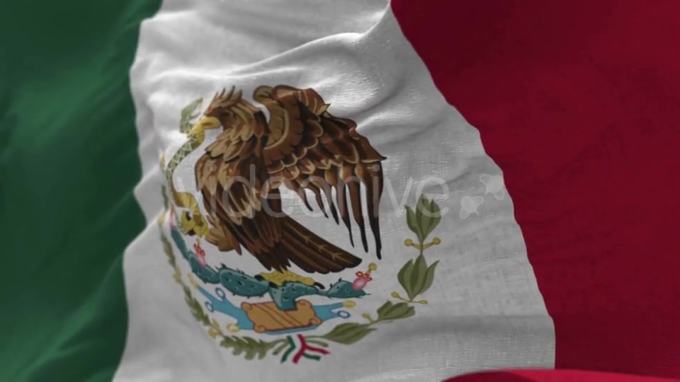 Mexico Flag in the Wind Videohive 20592537 Motion Graphics Image 5
