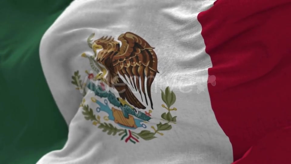 Mexico Flag in the Wind Videohive 20592537 Motion Graphics Image 6