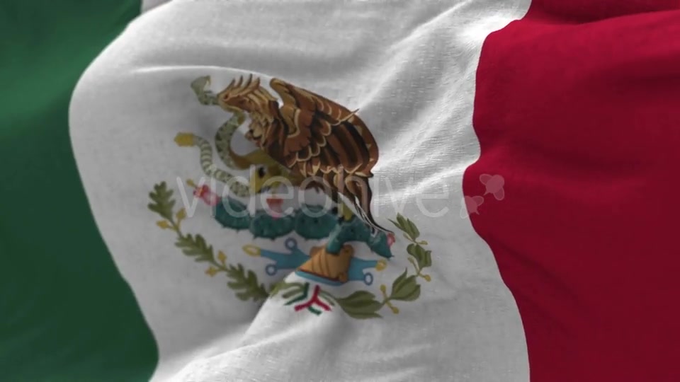Mexico Flag in the Wind Videohive 20592537 Motion Graphics Image 7