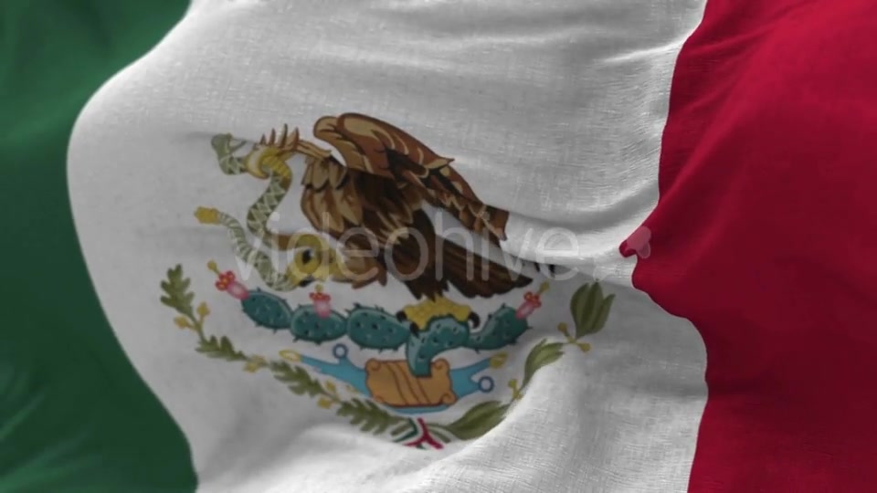 Mexico Flag in the Wind Videohive 20592537 Motion Graphics Image 8