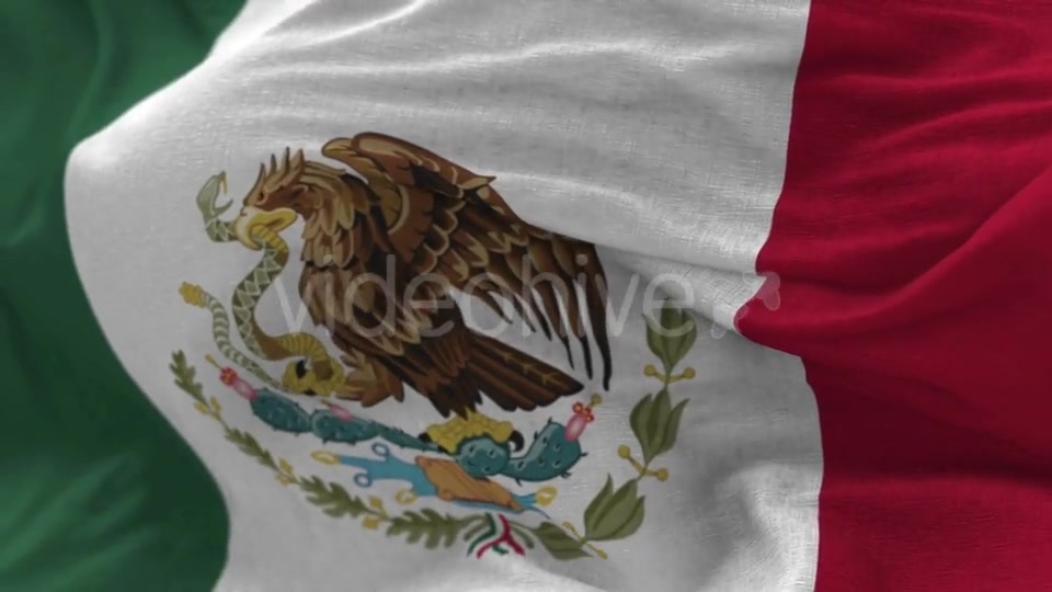 Mexico Flag in the Wind Videohive 20592537 Motion Graphics Image 9