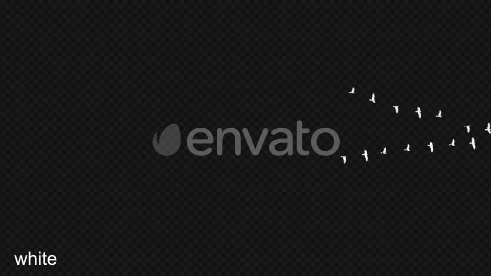 Migration Of Birds Silhouettes V Formation Videohive 21934385 Motion Graphics Image 4
