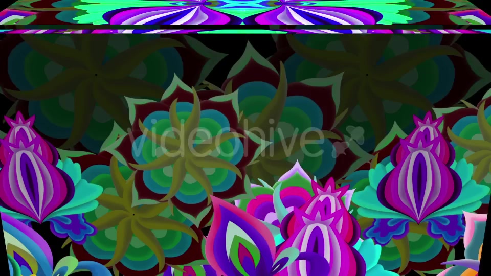 Modern Ethnic Videohive 20568311 Motion Graphics Image 5
